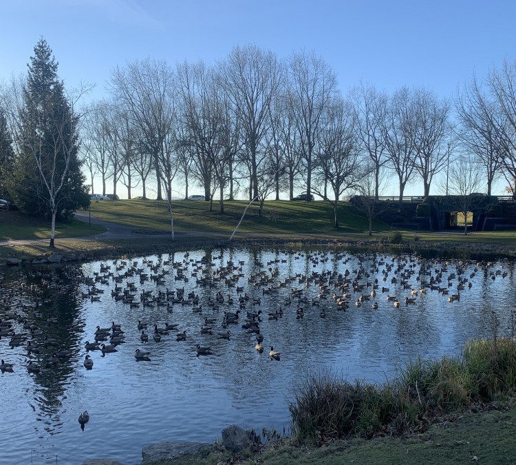 Duck Pond Park (Hillsboro,&nbspOR)